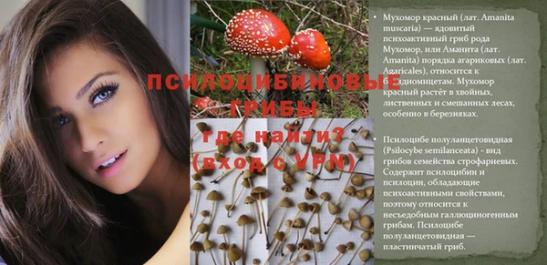 гидра Михайловск