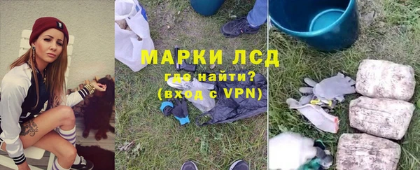 гидра Михайловск