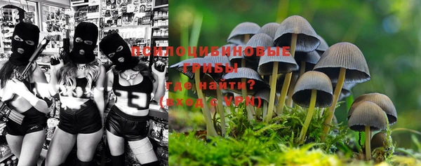 прущая мука Михайловка