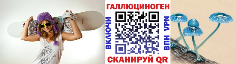 Псилоцибиновые грибы Cubensis  Купить закладки  Прохладный 