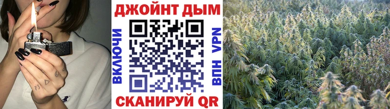 Купить где  Прохладный  Канабис ГИДРОПОН 
